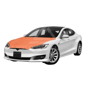 MotoShield Pro Tesla Model S | PPF | Full Hood
